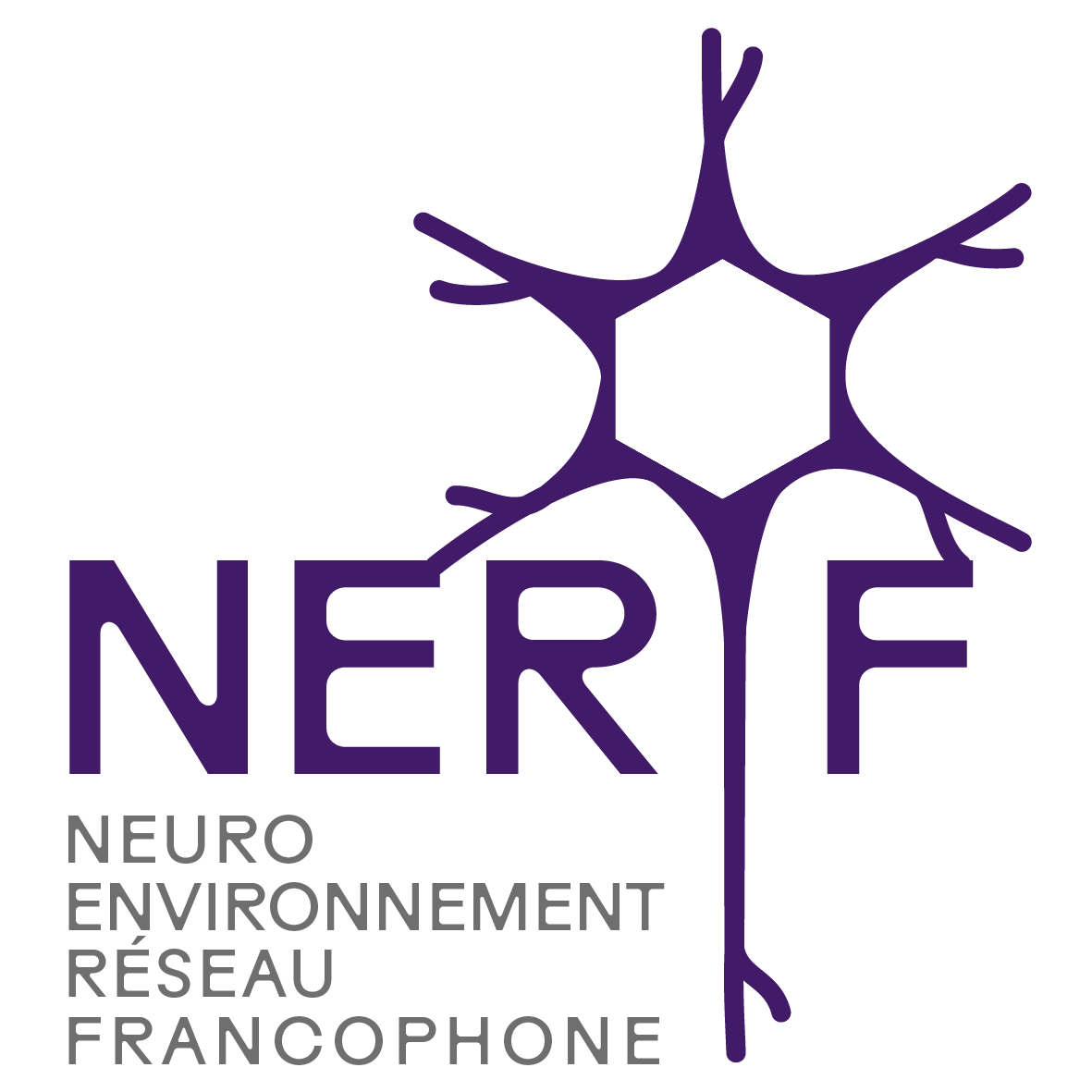 logo NERF